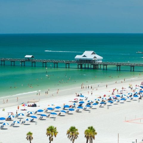 Ocean Allies Inaugural Beach Cleanup - Clearwater Marine Aquarium