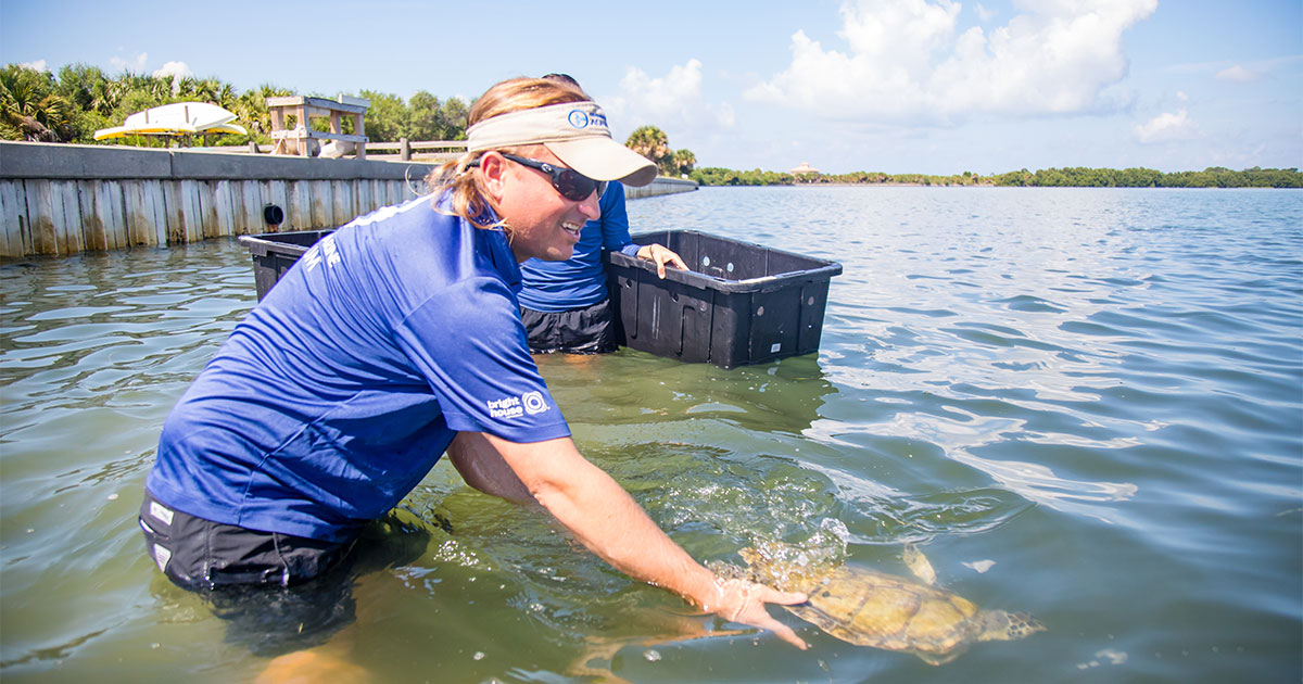 Fishing Gear Tips to Protect Sea Turtles - Clearwater Marine Aquarium
