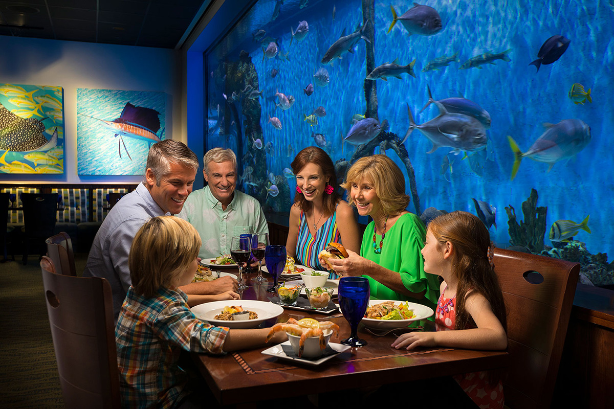 hotels close to clearwater marine aquarium