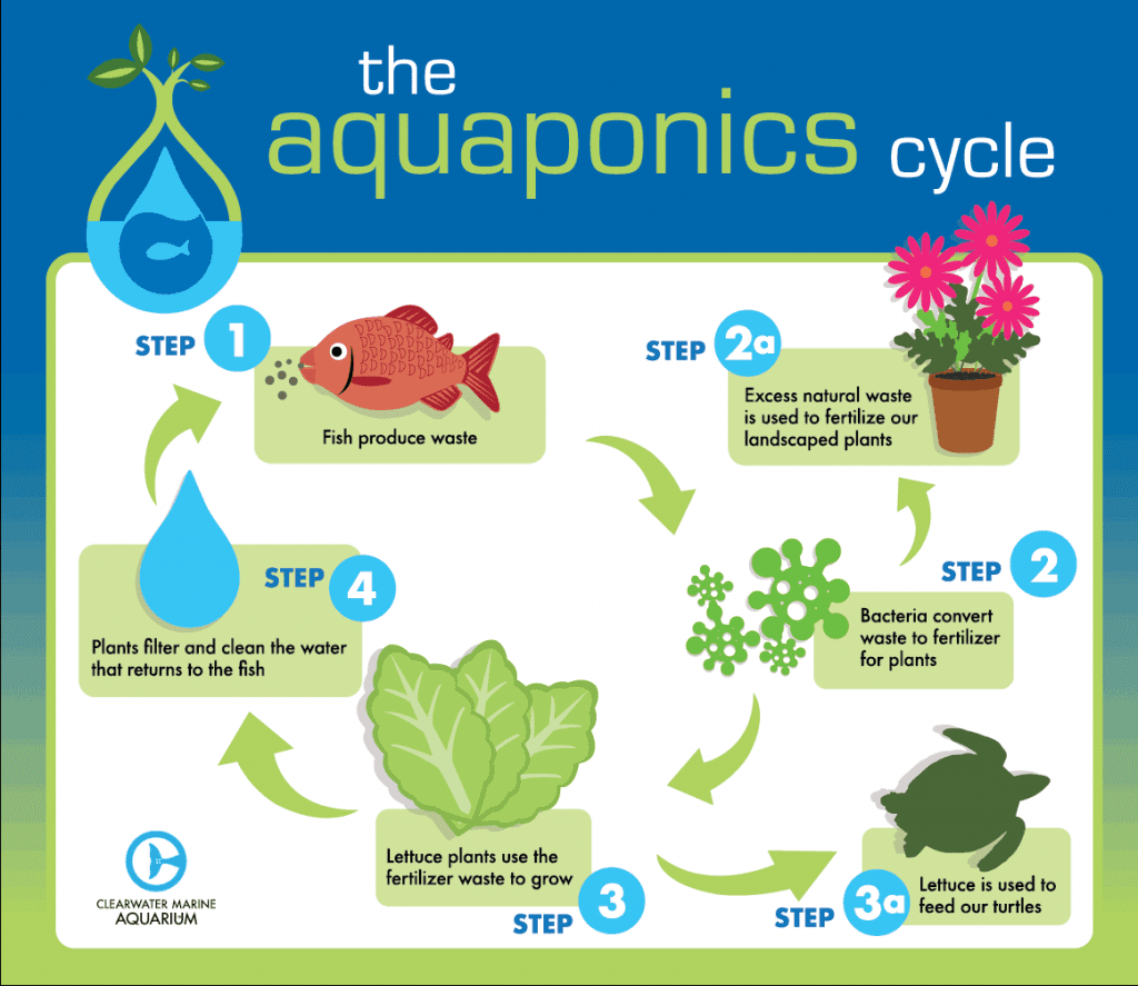 Does aquaponics need a filter The Worst Greenhouse Gasses You Haven’t Heard Of