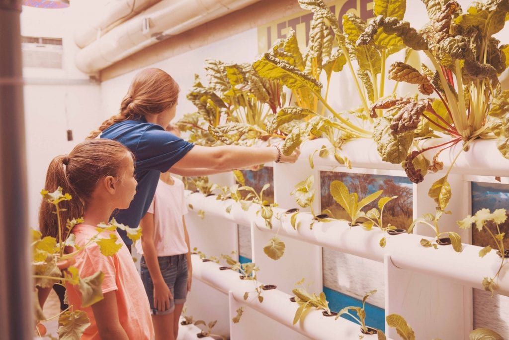 aquaponics - clearwater marine aquarium