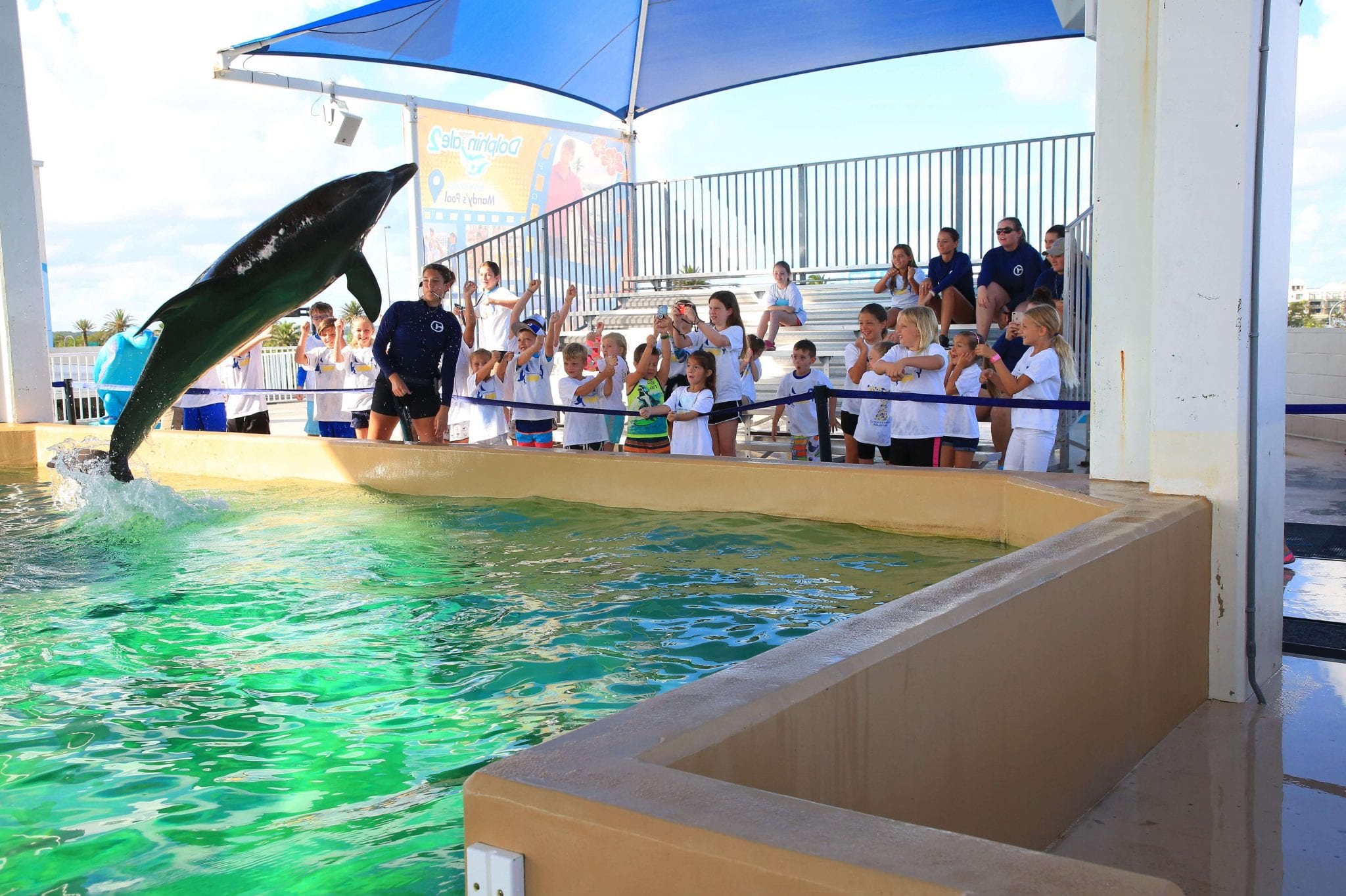 Educational Summer Programs Clearwater Marine Aquarium