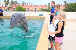 clearwater marine aquarium jobs