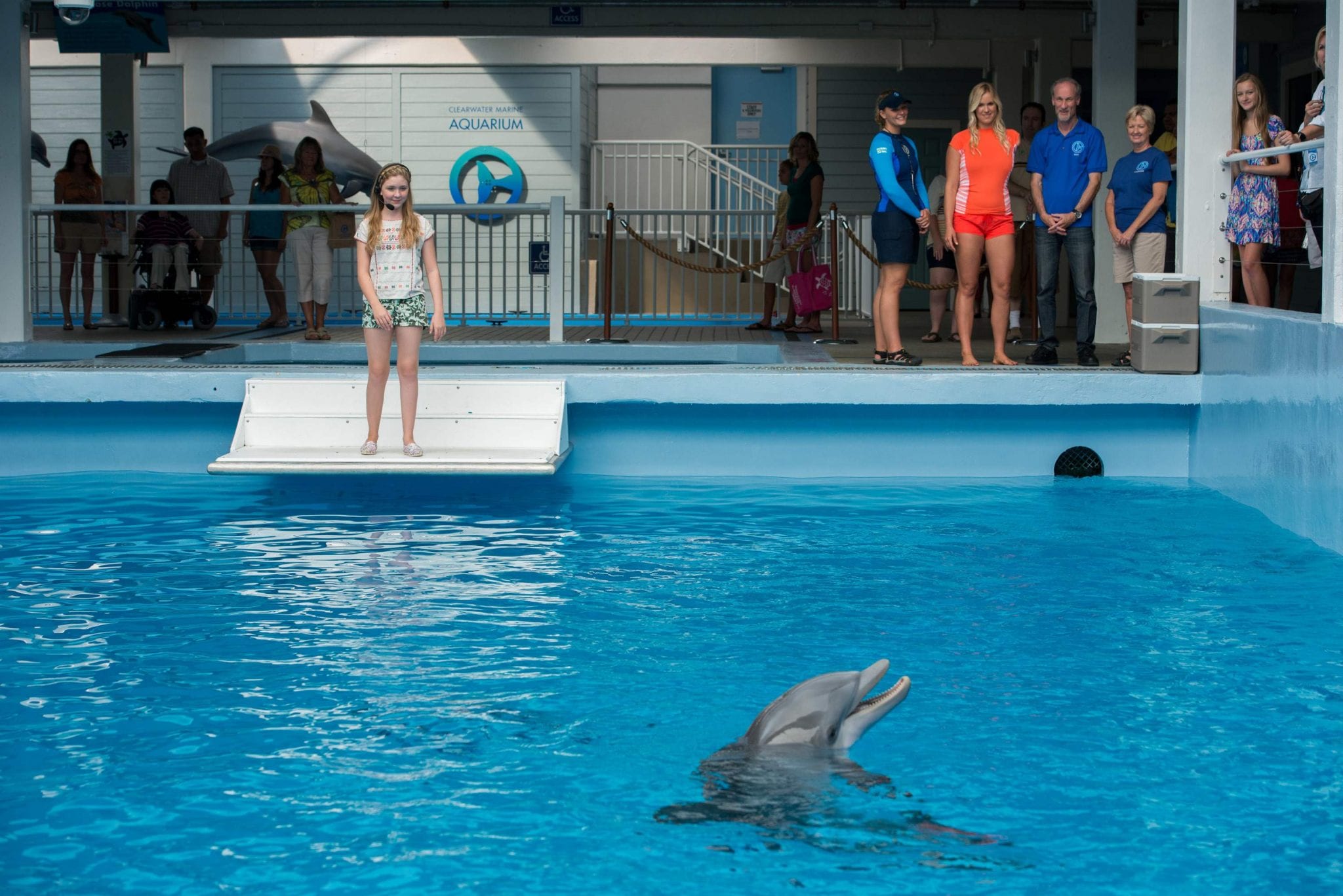 Dolphin Tale Set - Clearwater Marine Aquarium