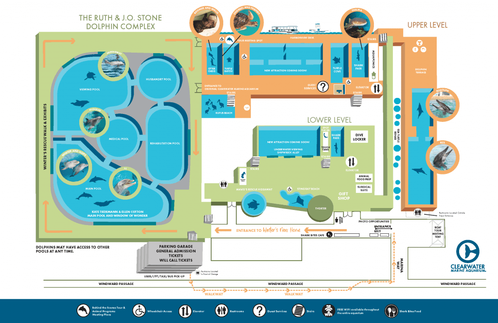 Ruth & J.O. Stone Dolphin Complex - Clearwater Marine Aquarium