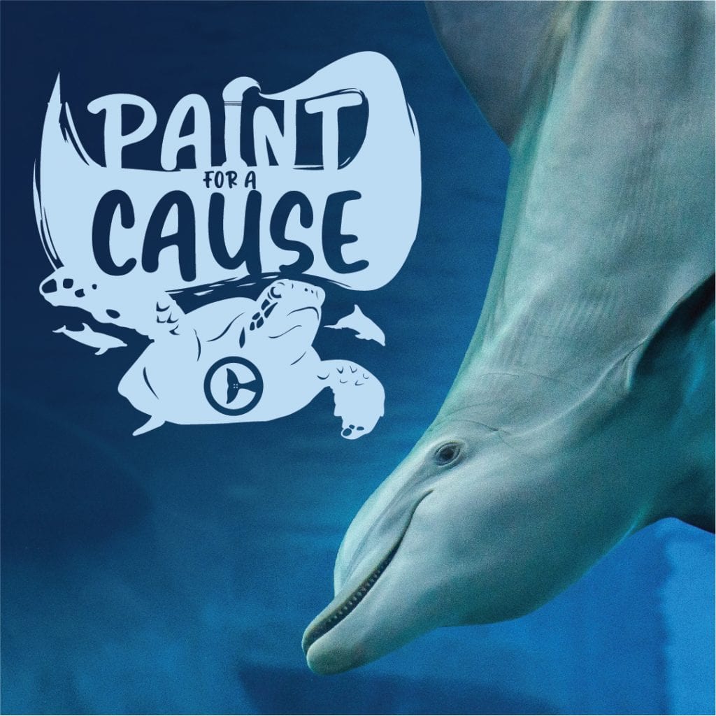 Paint for a cause
