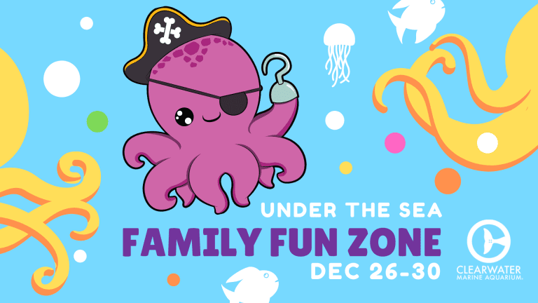 under-the-sea-family-fun-zone-clearwater-marine-aquarium