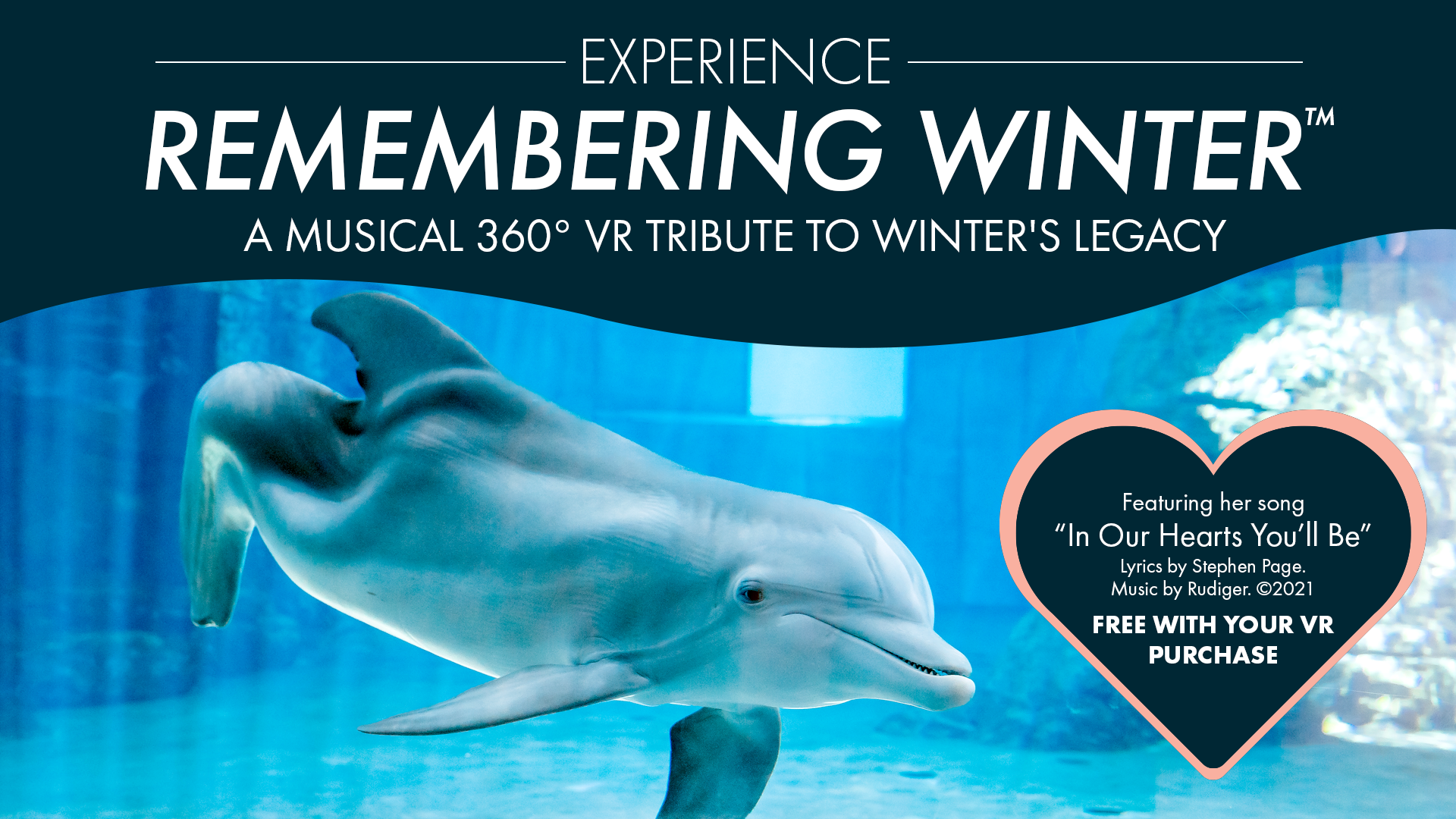 Remembering Winter The Dolphin Clearwater Marine Aquarium