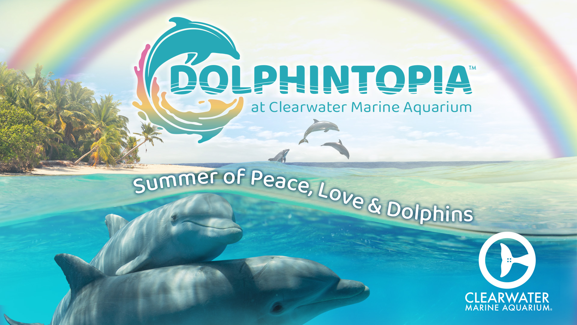 Stone Dolphin Complex Webcam 1 - Pool 1 - Clearwater Marine Aquarium