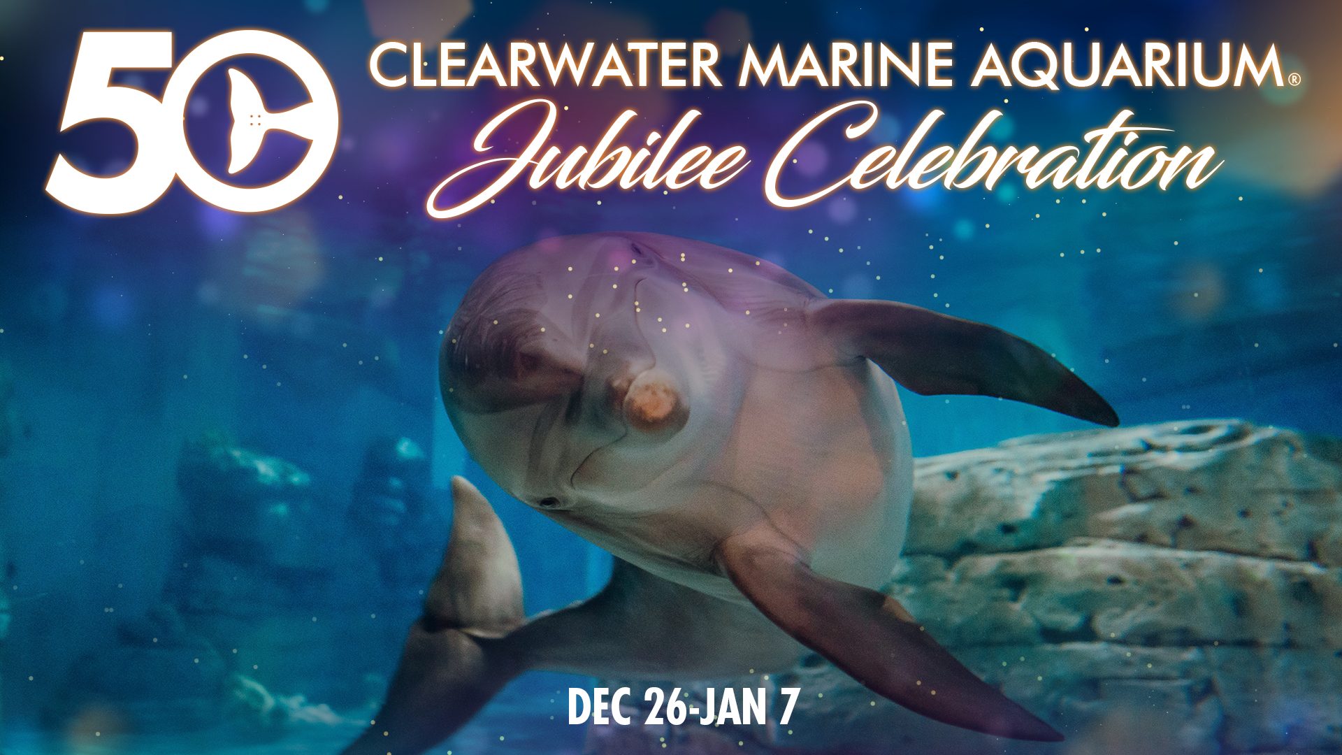 Jubilee Celebration Clearwater Marine Aquarium