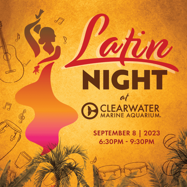 Latin Night - Clearwater Marine Aquarium