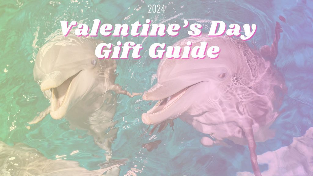 2024 CMA Valentine's Guide Clearwater Marine Aquarium