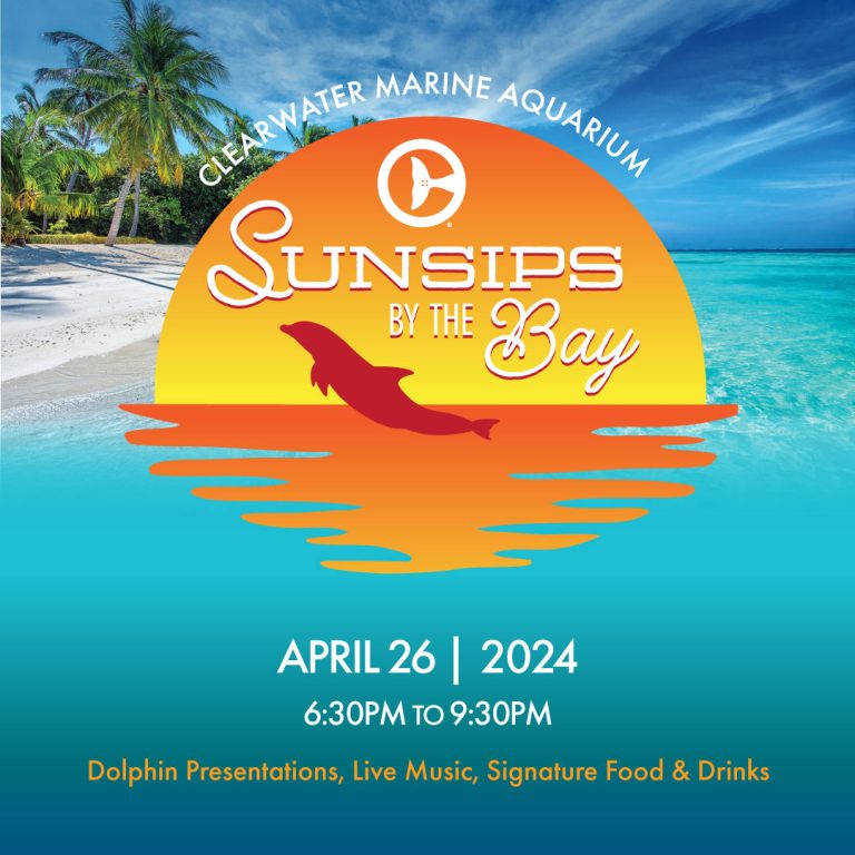 SunSips by the Bay - Clearwater Marine Aquarium