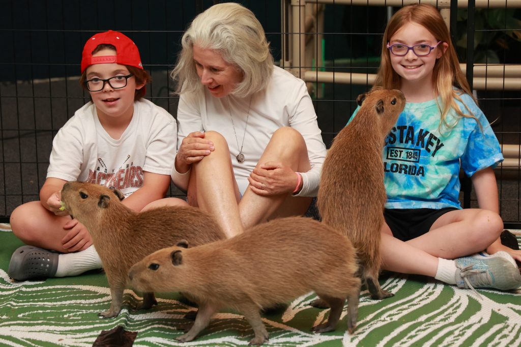 capybara encounter