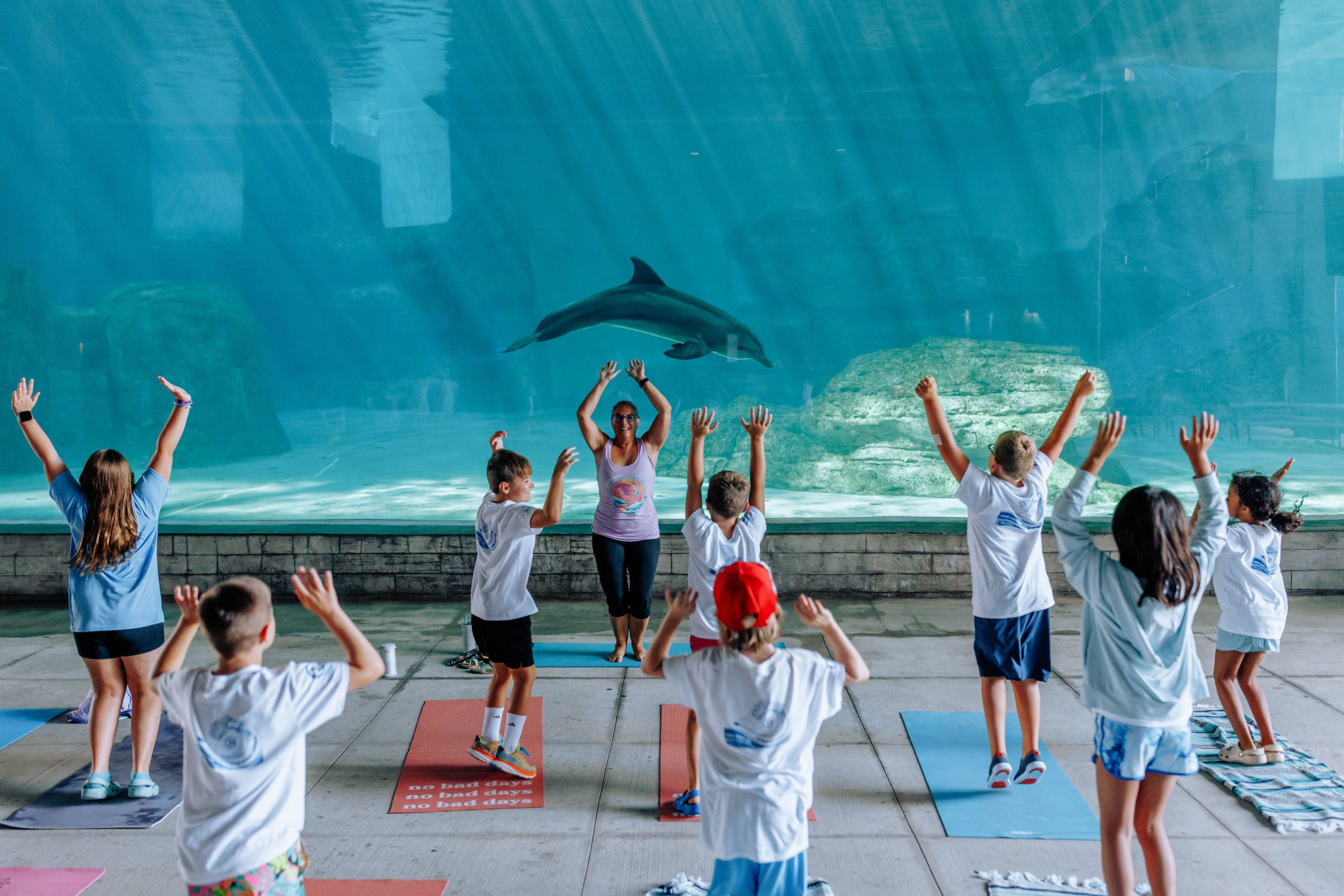 kids dolphin yoga